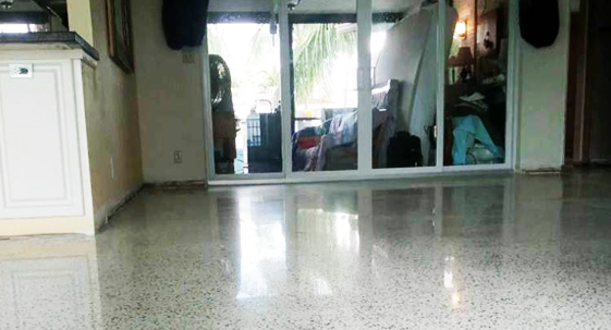 Floor Cleaning & Polishing Service